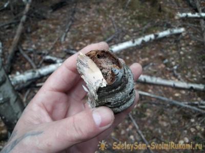 Как защититься от комаров в лесу без спецсредств