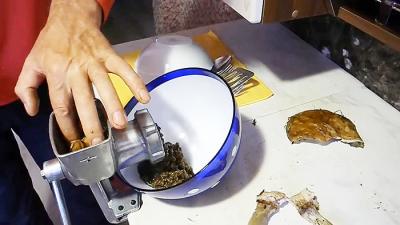 Как выращивать белые грибы на подоконнике