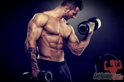 Бицепс: упражнения и правила набора массы Бицепс: упражнения и правила набора массы