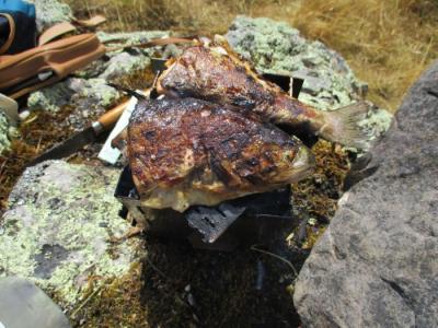 Как сделать складную карманную печку для готовки в походе Как сделать складную карманную печку для готовки в походе