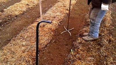 Посадка картофеля без лопаты