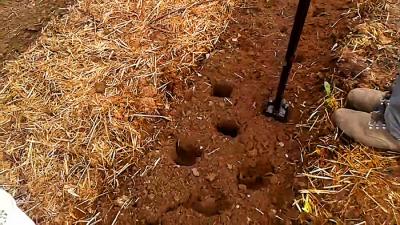 Посадка картофеля без лопаты