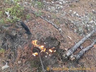 Как защититься от комаров в лесу без спецсредств