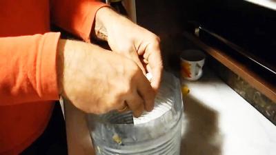 Как выращивать белые грибы на подоконнике