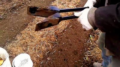 Посадка картофеля без лопаты