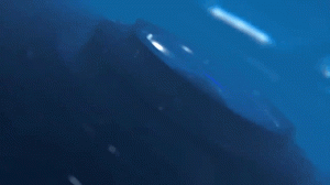 Обзор смартфона Nokia 9 PureView: пентакамера с оптикой Zeiss