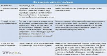 
                        Ученым наконец удалось выяснить, кто умнее: кошки или собаки
                    
