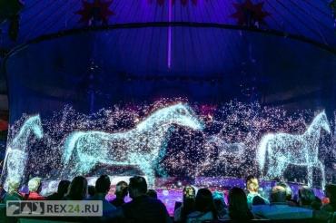 
                        Циркам с животными быть? История немецкого цирка Ронкалли, который и сохранил, и отказался от животных (видео)
                    