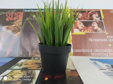 Обзор Redmi 7: симпатичный бюджетник с отличным временем работы