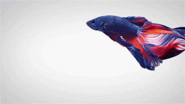 Обзор смартфона Xiaomi Redmi Note 7: 48-мегапиксельный бюджетник