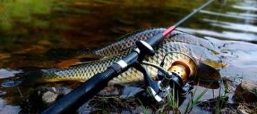 Правильная сборка фидерной снасти