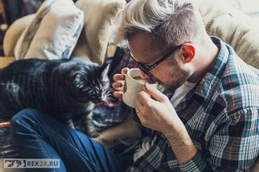 
                        Ученым наконец удалось выяснить, кто умнее: кошки или собаки
                    