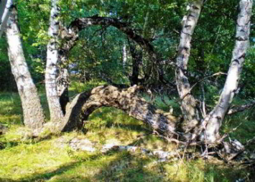 10 самых загадочных мест России